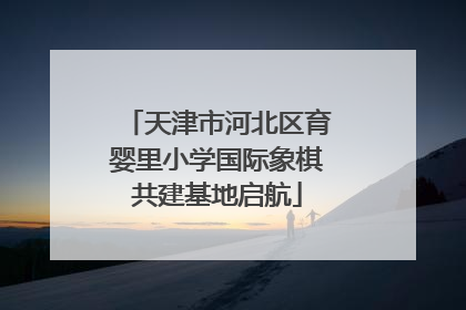 天津市河北区育婴里小学国际象棋共建基地启航