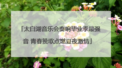 太白湖音乐会奏响毕业季最强音 青春赞歌点燃夏夜激情