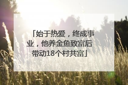 始于热爱，终成事业，他养金鱼致富后带动18个村共富