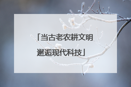 当古老农耕文明邂逅现代科技