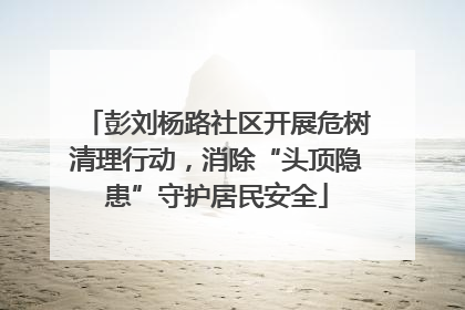 彭刘杨路社区开展危树清理行动，消除“头顶隐患”守护居民安全