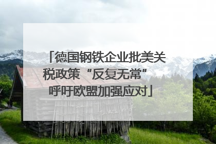 德国钢铁企业批美关税政策“反复无常” 呼吁欧盟加强应对