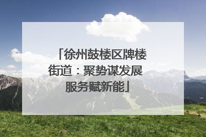 徐州鼓楼区牌楼街道：聚势谋发展 服务赋新能