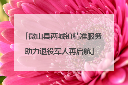 微山县两城镇精准服务助力退役军人再启航