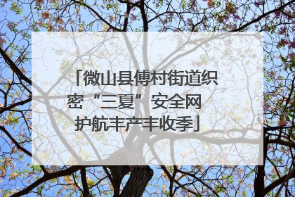 微山县傅村街道织密“三夏”安全网 护航丰产丰收季
