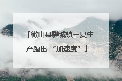 微山县驩城镇三夏生产跑出 “加速度”