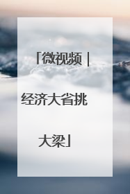 微视频｜经济大省挑大梁