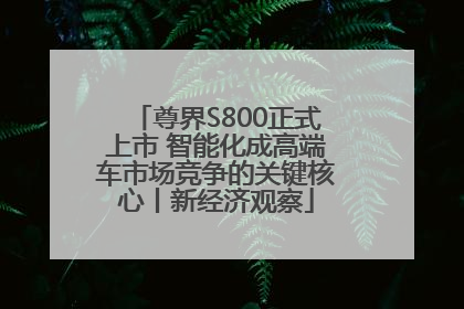 尊界S800正式上市 智能化成高端车市场竞争的关键核心丨新经济观察