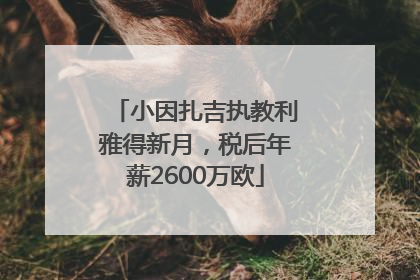 小因扎吉执教利雅得新月，税后年薪2600万欧