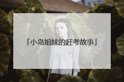 小岛姐妹的赶考故事