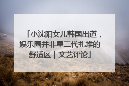小沈阳女儿韩国出道，娱乐圈并非星二代扎堆的舒适区｜文艺评论