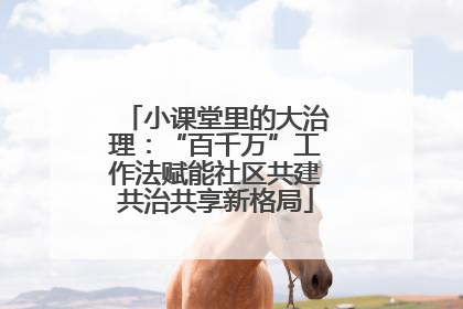 小课堂里的大治理：“百千万”工作法赋能社区共建共治共享新格局