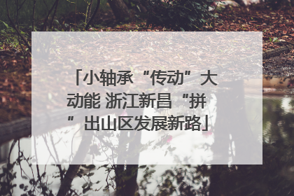 小轴承“传动”大动能 浙江新昌“拼”出山区发展新路