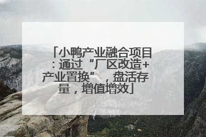 小鸭产业融合项目：通过“厂区改造+产业置换”，盘活存量，增值增效