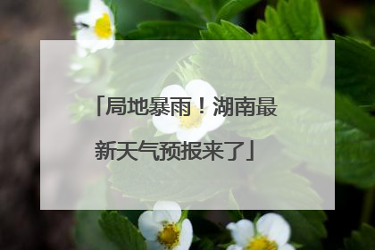 局地暴雨！湖南最新天气预报来了