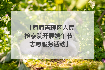 屈原管理区人民检察院开展端午节志愿服务活动