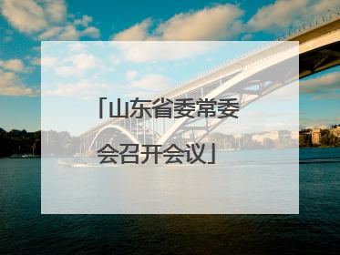 山东省委常委会召开会议