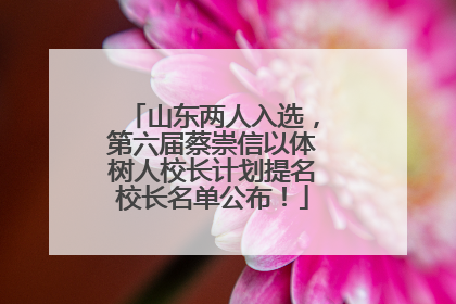 山东两人入选，第六届蔡崇信以体树人校长计划提名校长名单公布！