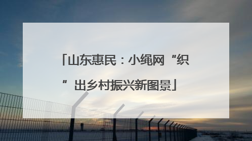 山东惠民：小绳网“织”出乡村振兴新图景