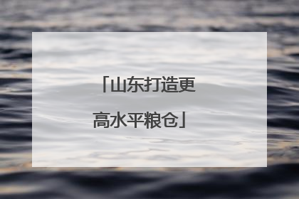 山东打造更高水平粮仓