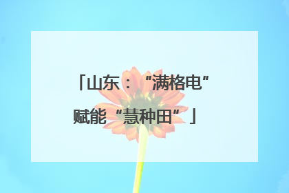 山东：“满格电”赋能“慧种田”