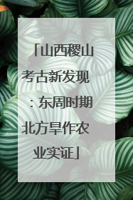 山西稷山考古新发现：东周时期北方旱作农业实证