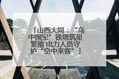 山西大同：“鸟中国宝”铁塔筑巢繁殖 电力人员守护“空中来客”