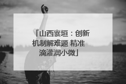 山西襄垣：创新机制解难题 精准滴灌润小微
