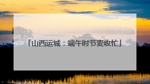 山西运城：端午时节麦收忙