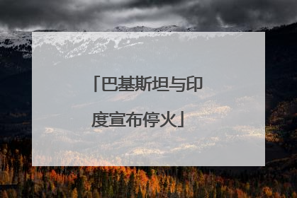 巴基斯坦与印度宣布停火