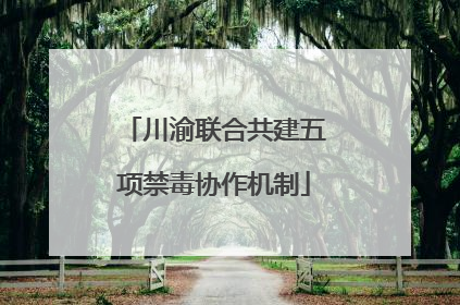 川渝联合共建五项禁毒协作机制