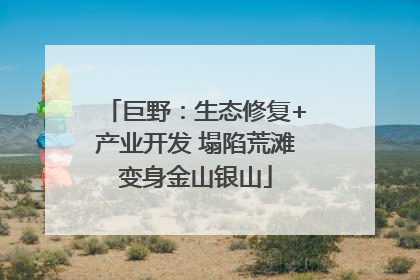 巨野：生态修复+产业开发 塌陷荒滩变身金山银山