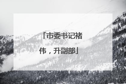市委书记褚伟，升副部
