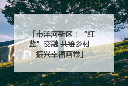 市洋河新区：“红蓝”交融 共绘乡村振兴幸福画卷