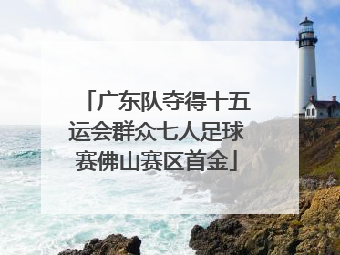 广东队夺得十五运会群众七人足球赛佛山赛区首金