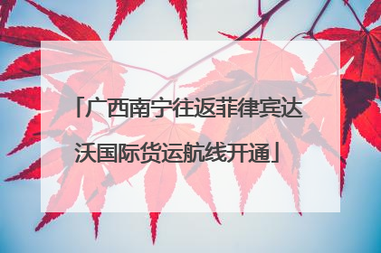 广西南宁往返菲律宾达沃国际货运航线开通