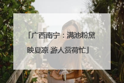 广西南宁：满池粉黛映夏凉 游人赏荷忙