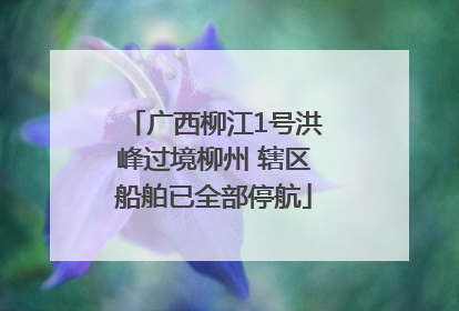 广西柳江1号洪峰过境柳州 辖区船舶已全部停航
