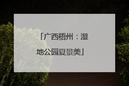 广西梧州：湿地公园夏景美