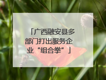 广西融安县多部门打出服务企业“组合拳”