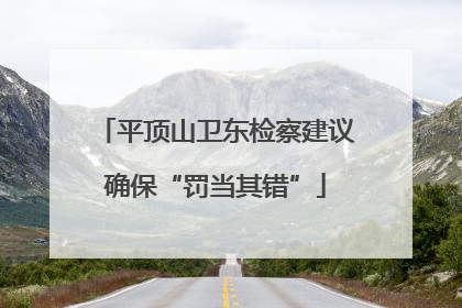 平顶山卫东检察建议确保“罚当其错”