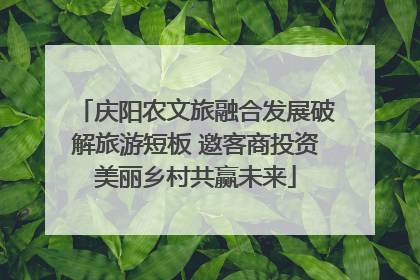 庆阳农文旅融合发展破解旅游短板 邀客商投资美丽乡村共赢未来