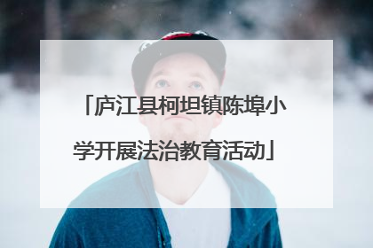 庐江县柯坦镇陈埠小学开展法治教育活动