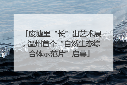 废墟里“长”出艺术展，温州首个“自然生态综合体示范片”启幕