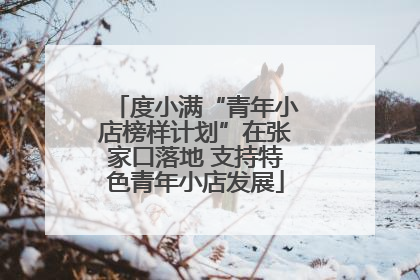 度小满“青年小店榜样计划”在张家口落地 支持特色青年小店发展