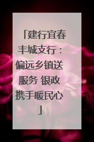 建行宜春丰城支行：偏远乡镇送服务 银政携手暖民心