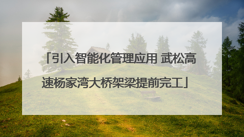 引入智能化管理应用 武松高速杨家湾大桥架梁提前完工