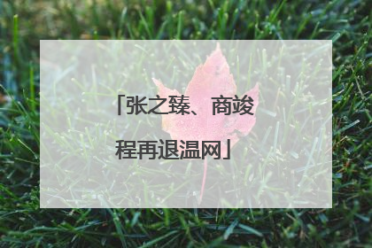 张之臻、商竣程再退温网