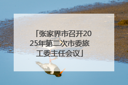 张家界市召开2025年第二次市委旅工委主任会议