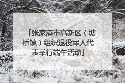 张家港市高新区（塘桥镇）组织退役军人代表举行端午活动